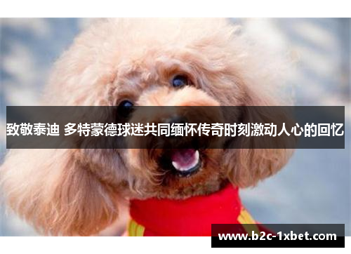 致敬泰迪 多特蒙德球迷共同缅怀传奇时刻激动人心的回忆