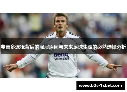 费南多退役背后的深层原因与未来足球生涯的必然选择分析