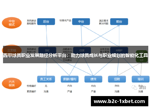 西甲球员职业发展路径分析平台：助力球员成长与职业规划的智能化工具