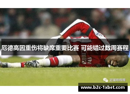 厄德高因重伤将缺席重要比赛 可能错过数周赛程